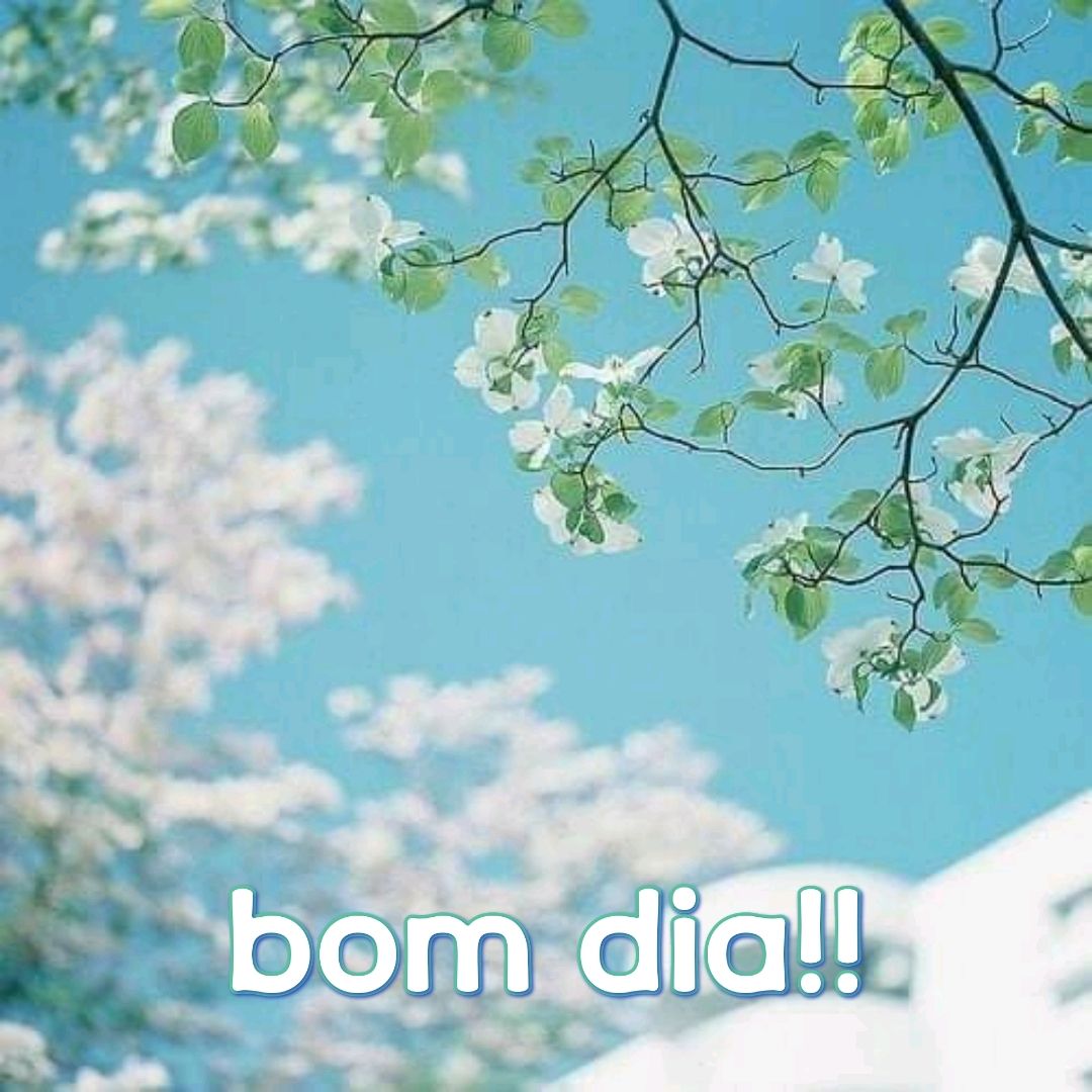 Foto linda para criar suas mensagens 