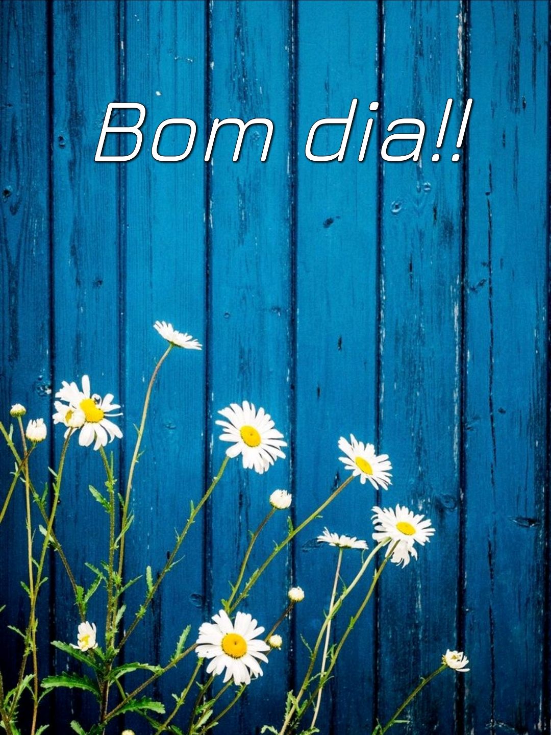 Fotos lindas para criar seu bom dia