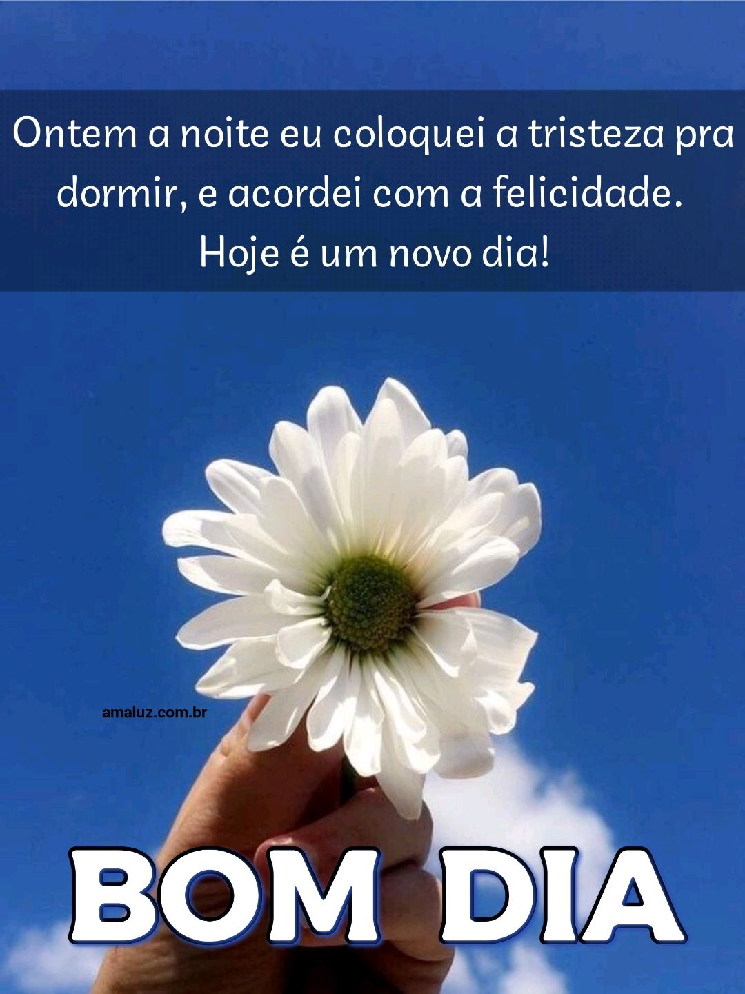 Hoje é um novo dia bom dia