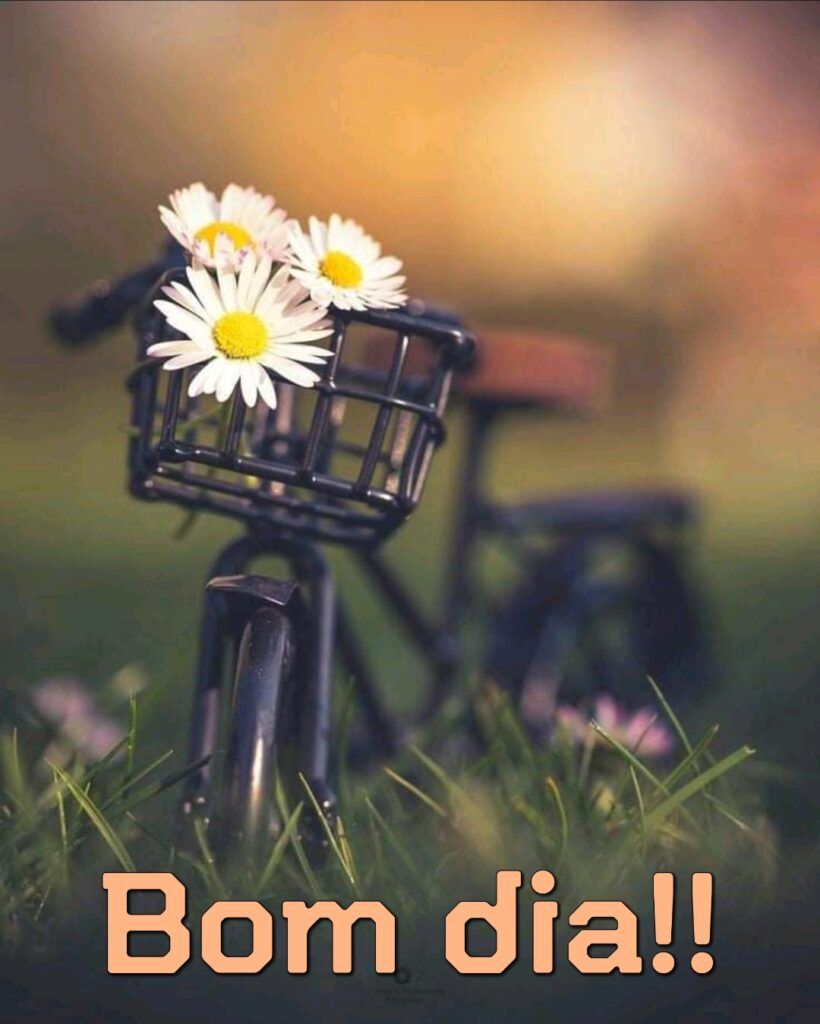 Imagem bonita com bicicleta para editar