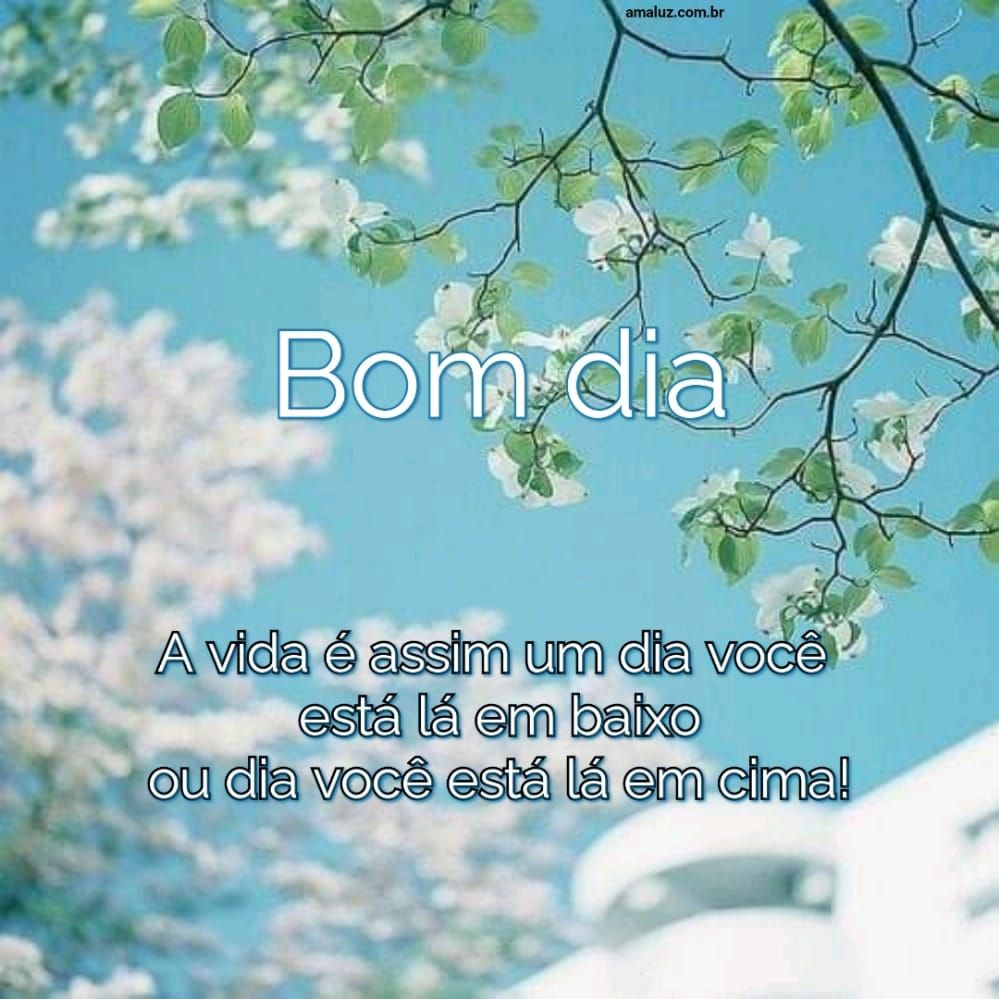 Imagens de bom dia com motivação 