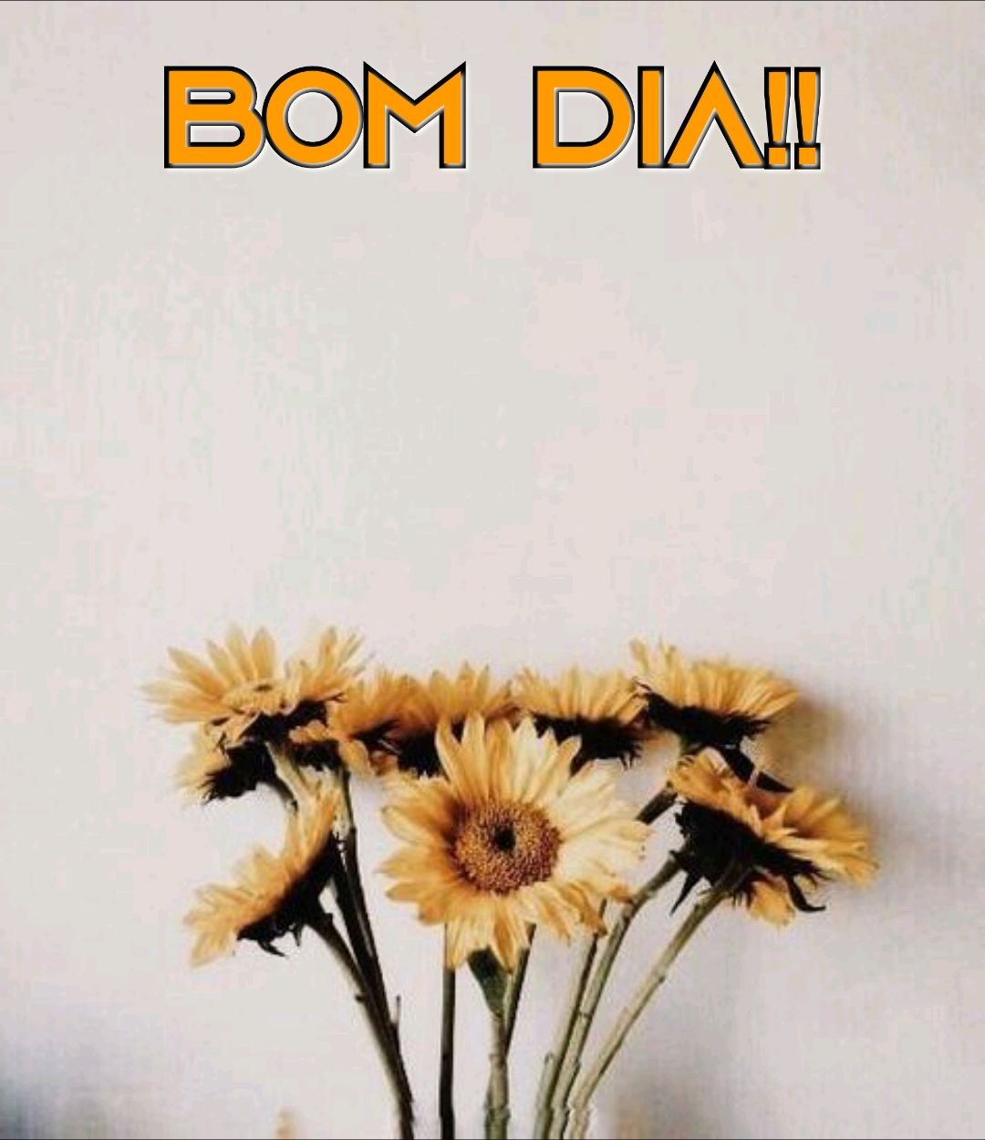 Imagens de bom dia para criar 