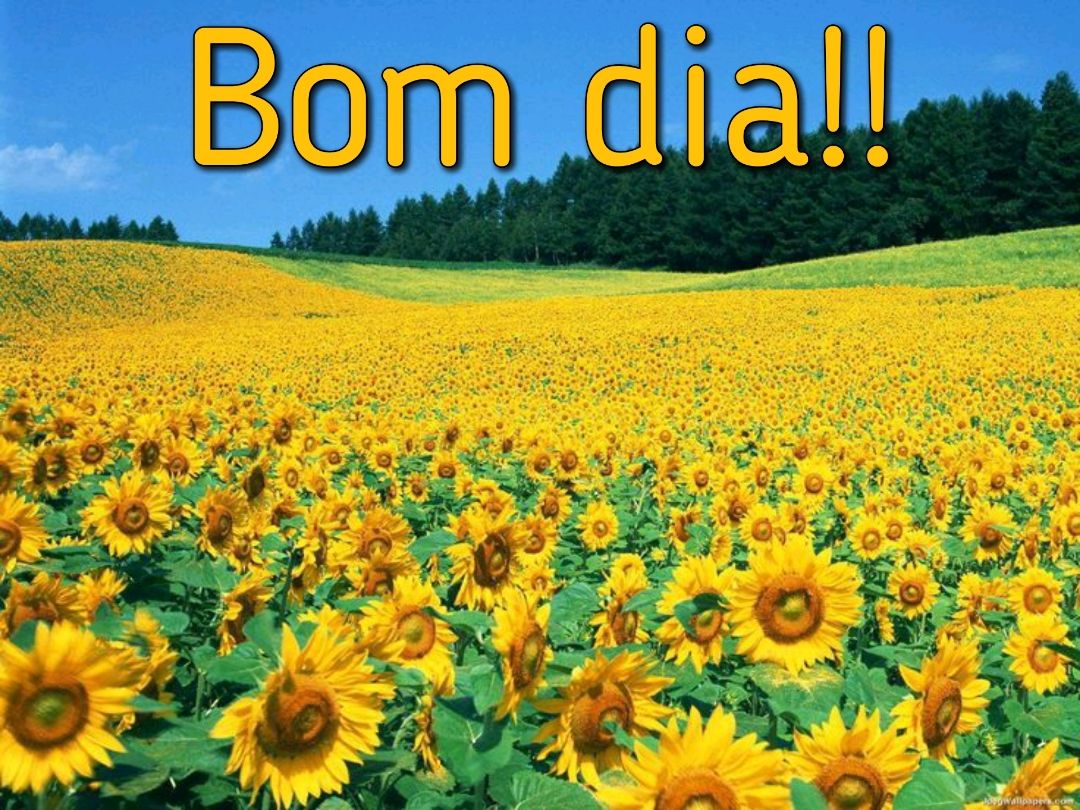 Imagens de campo com bom dia começando 