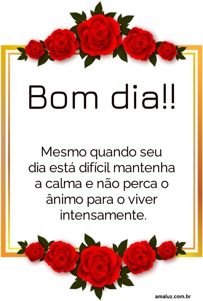 Não perca o ânimo de viver intensamente bom dia