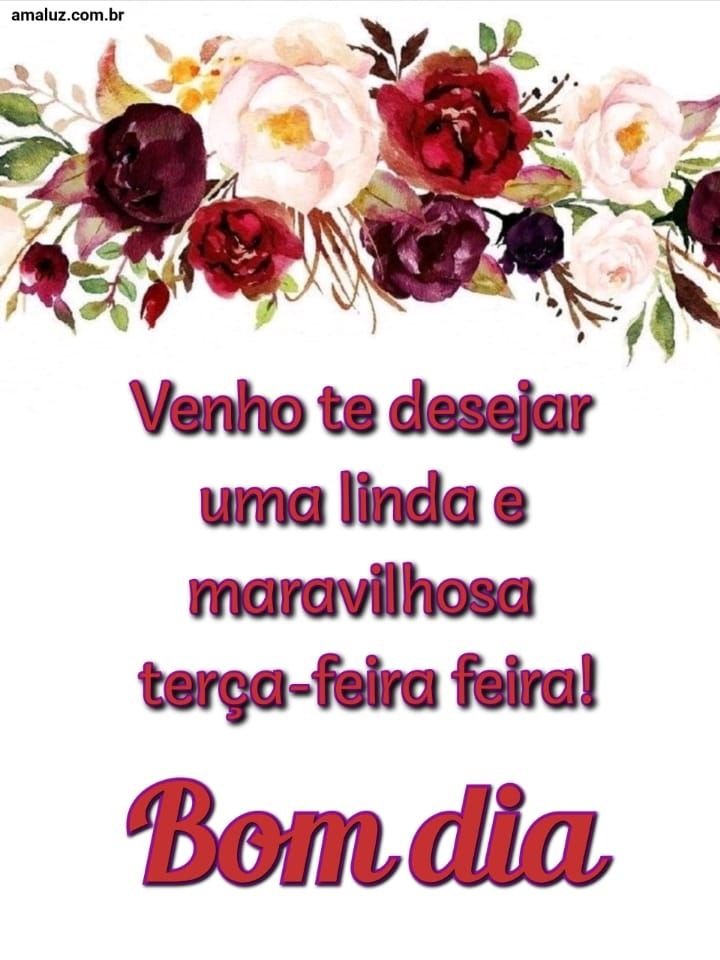 Te desejo uma linda terça feira bom dia