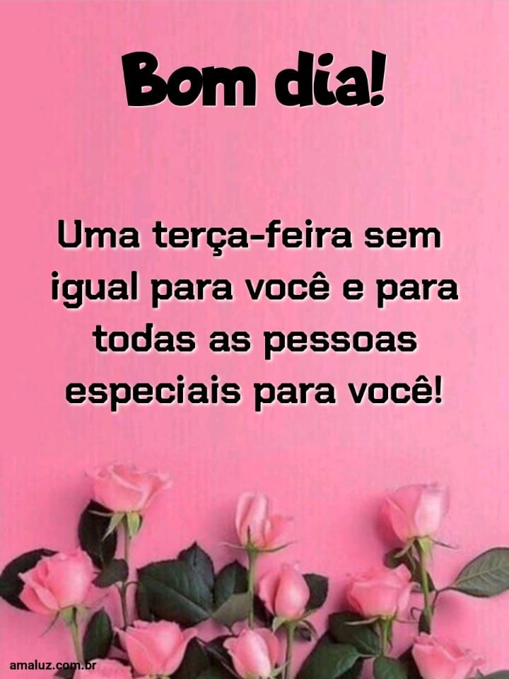 Uma terça feira sem igual para você