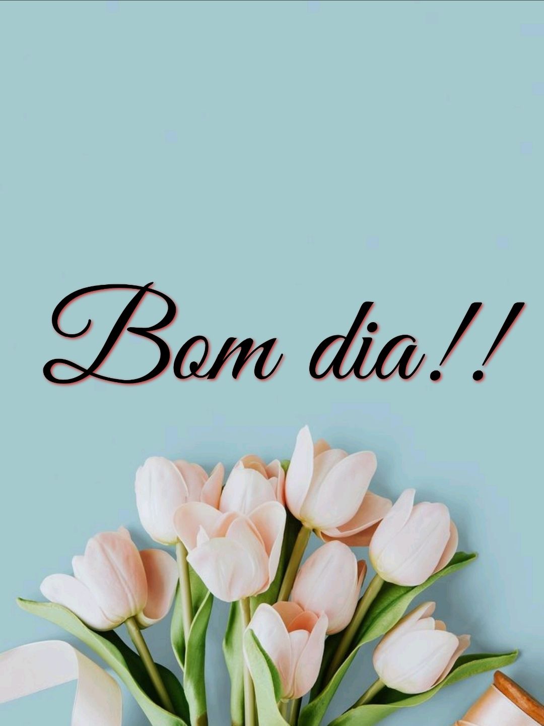 use essas imagens de bom dia