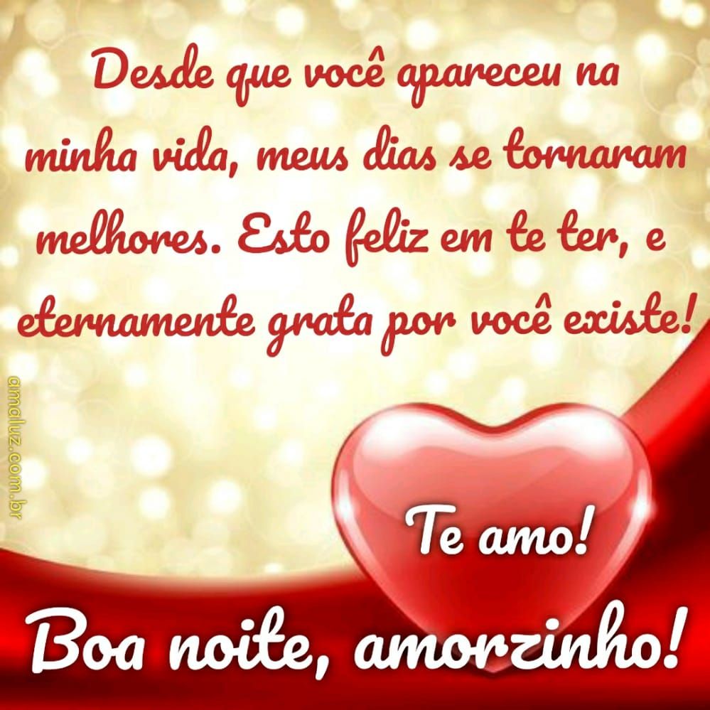 boa noite amorzinho com você meus dias se tornaram melhores
