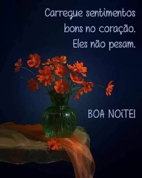 boa noite carregue sentimentos bons no coração