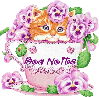 boa noite com gato e flores