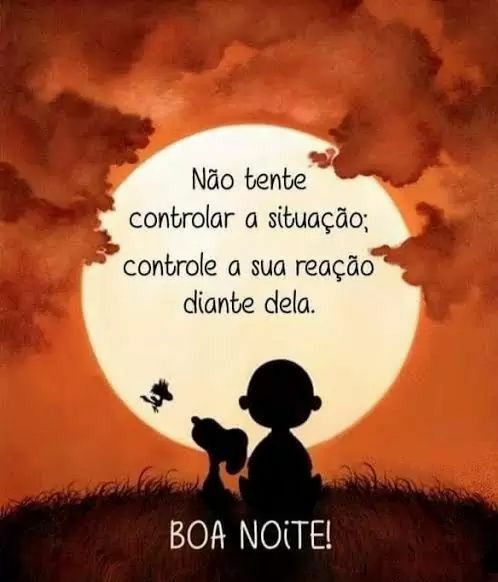 boa noite com linda imagem