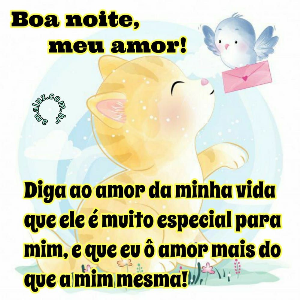 boa noite diga ao amor da minha vida que o amo