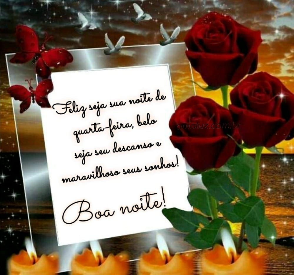 boa noite felis seja sua noite de quarta feira