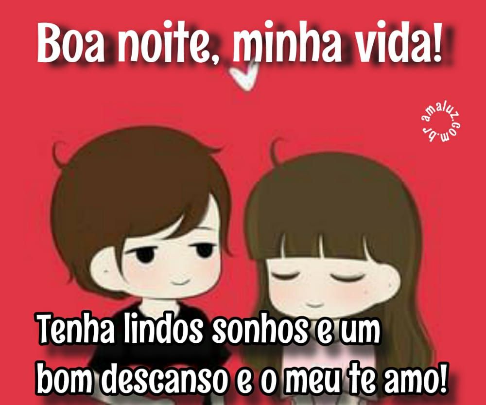 boa noite minha vida tenha lindos sonhos e o meu te amo