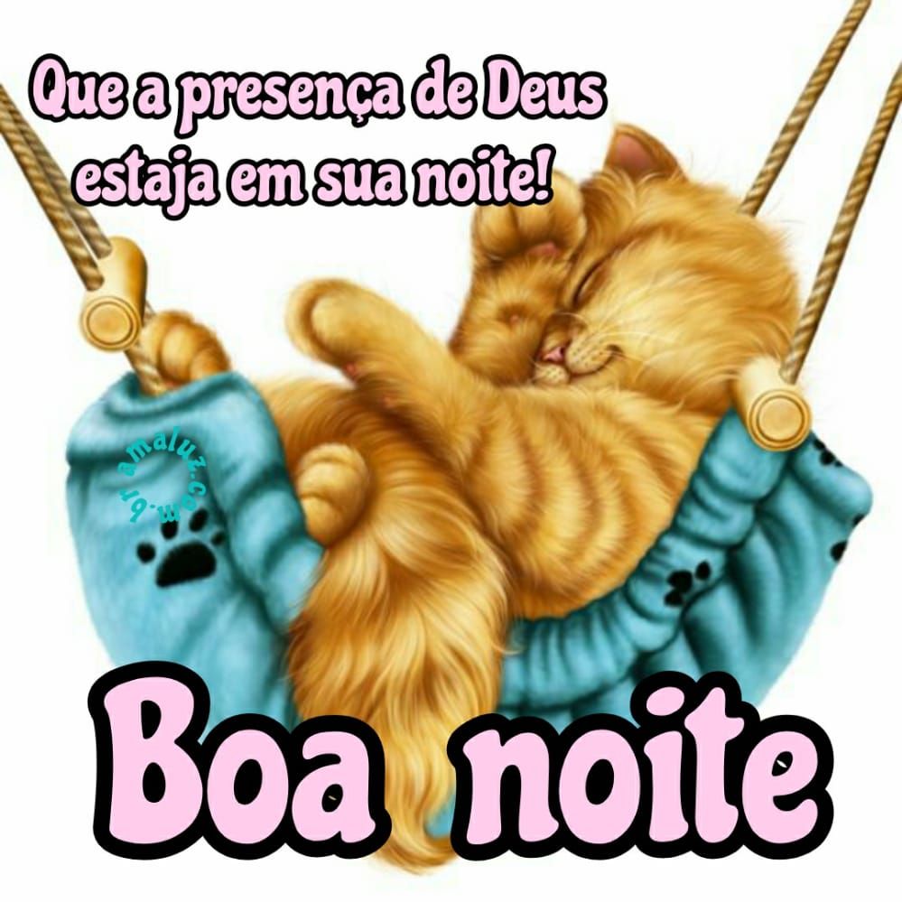 boa noite que a presença de deus esteja em sua noite
