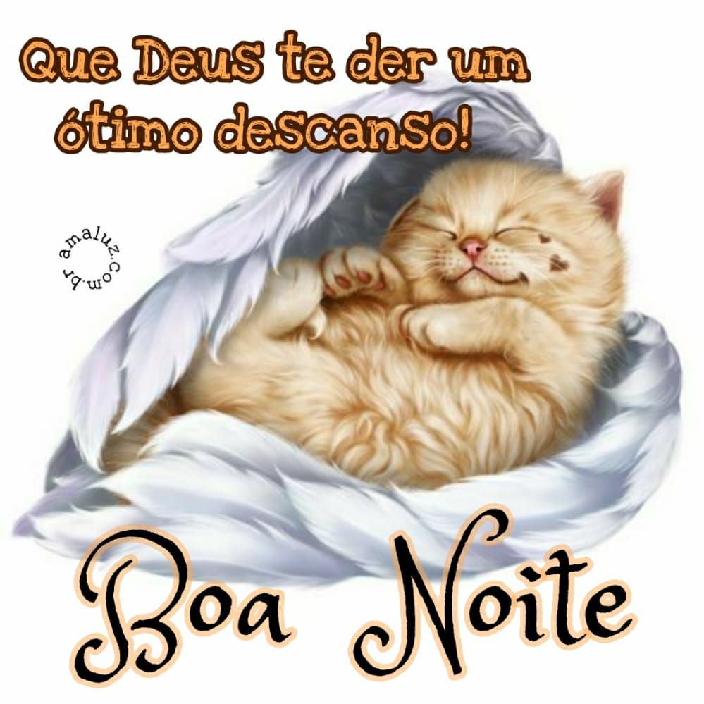boa noite que deus te der um ótimo descanso