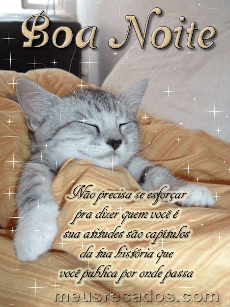 boa noite suas atitudes são capitulos