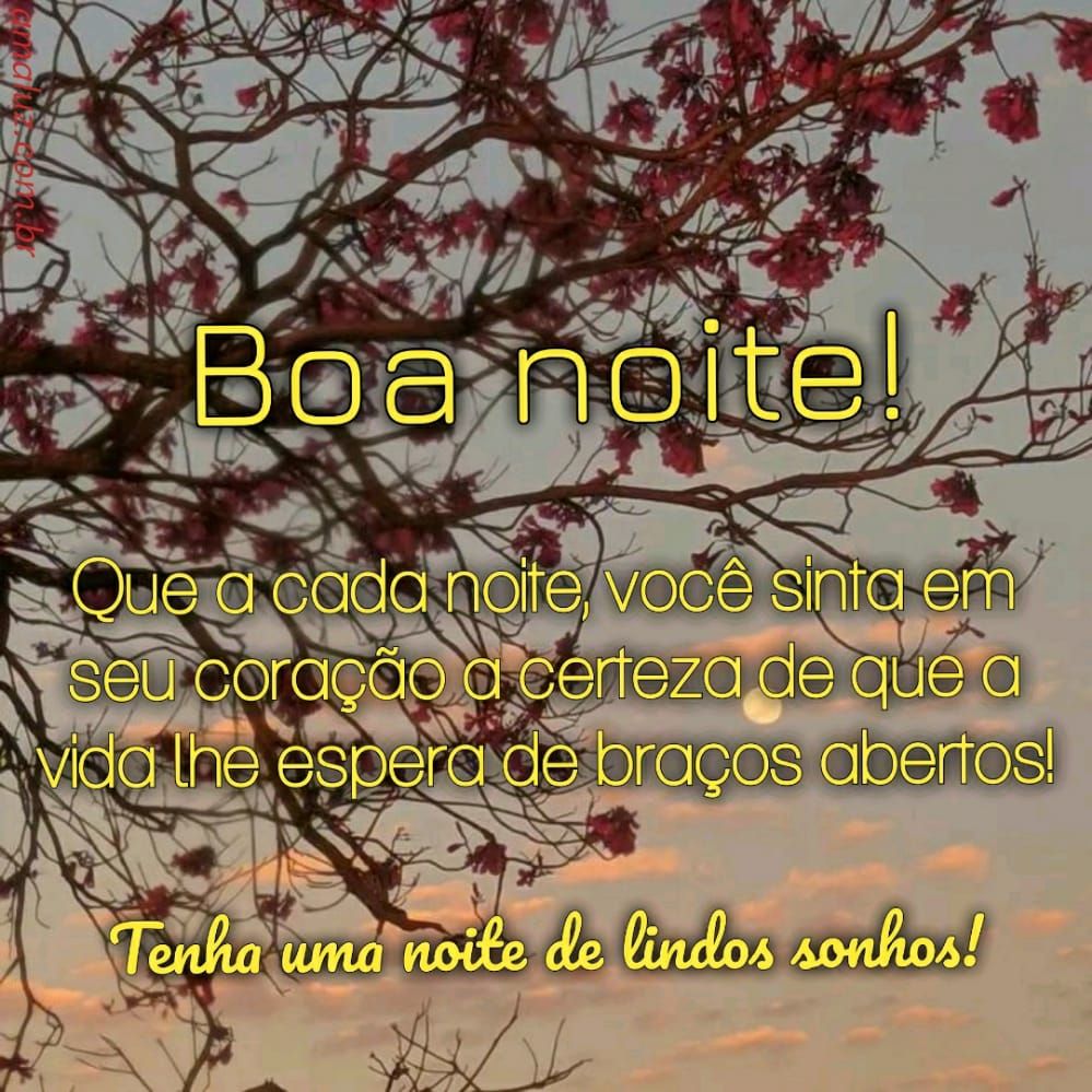 boa noite tenha uma noite de lindos sonhos