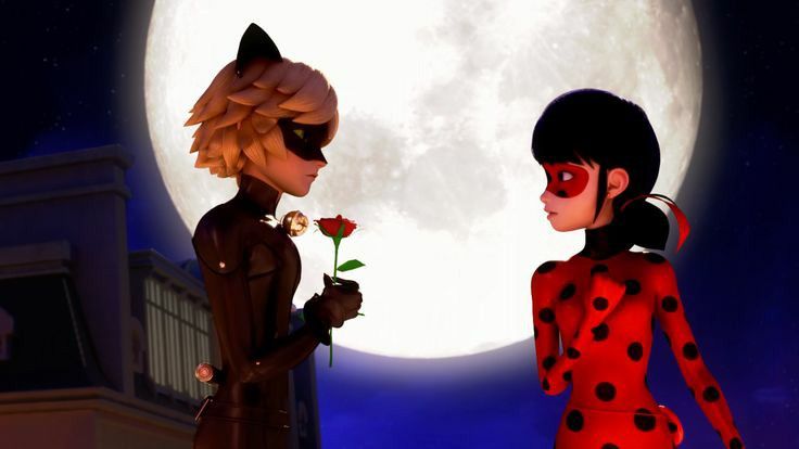 cat noir dando uma rosa para ladybug lindos personagens