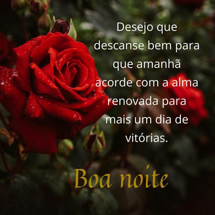 desejo que descanse bem boa noite