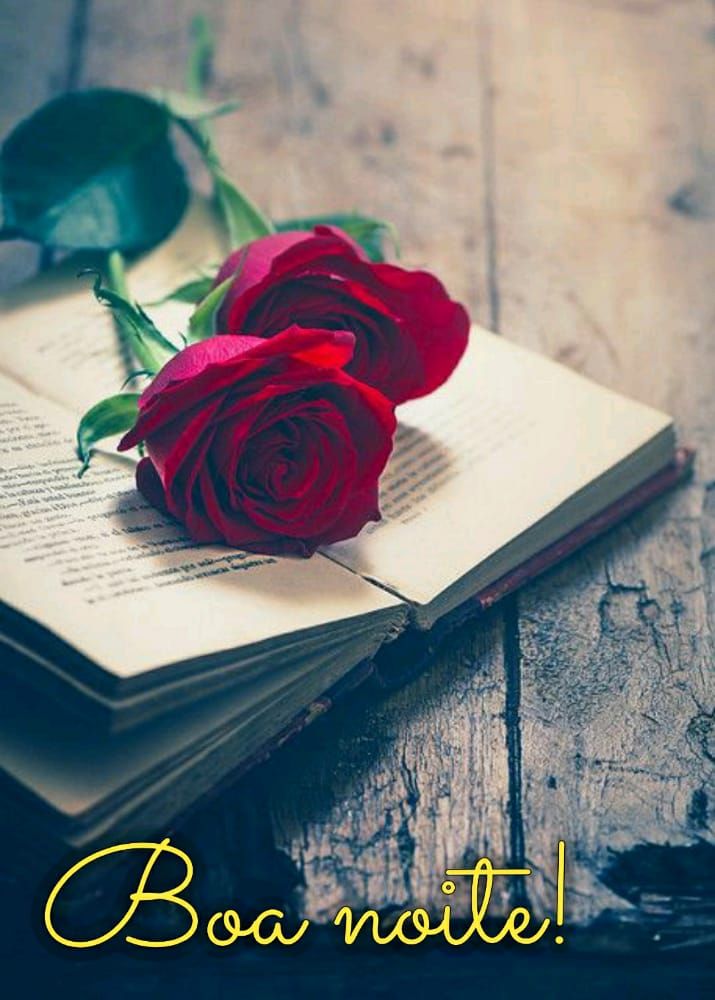 flor em um livro aberto