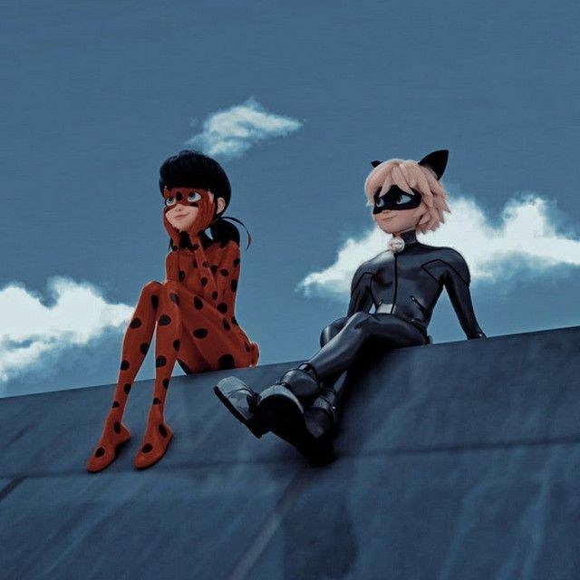 fotos legais de miracúlos