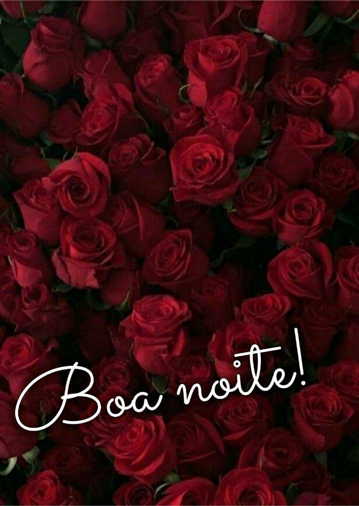 fundo de flores vermelhas e mensagem de boa noite