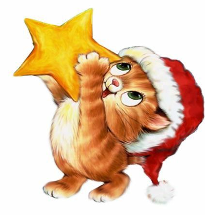 gatinho fofo com estrela na mão