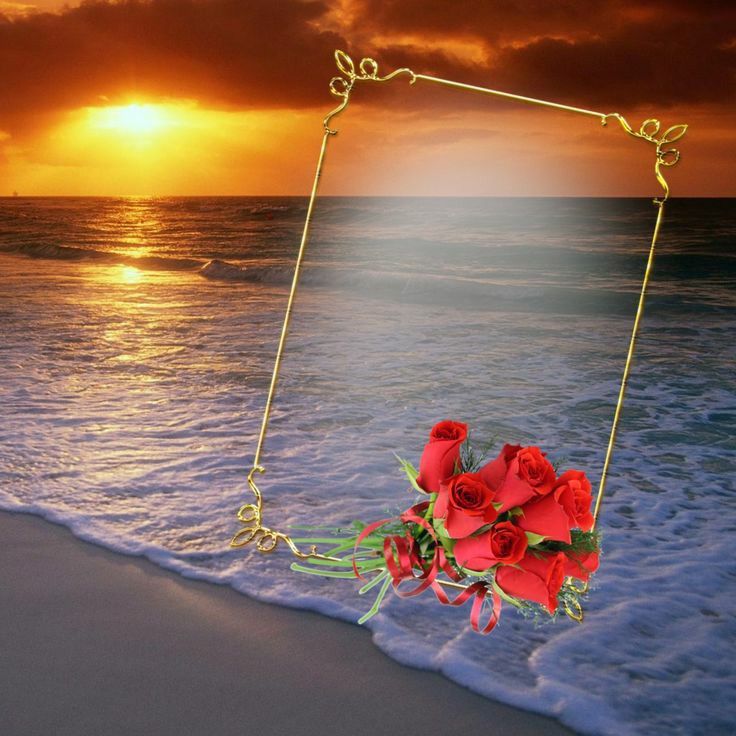 imagem com mar e por do sol