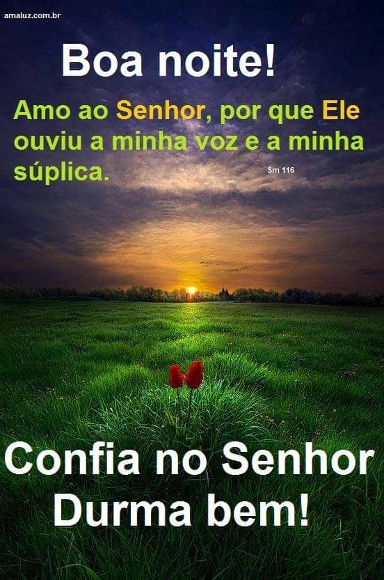 imagem de boa noite ame ao senhor