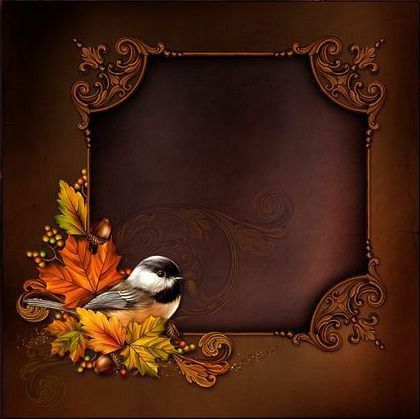 imagem de moldura marrom com passarinho