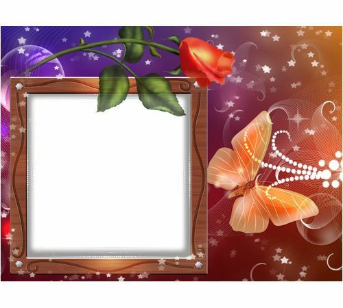 imagems com quadro flor e borboleta