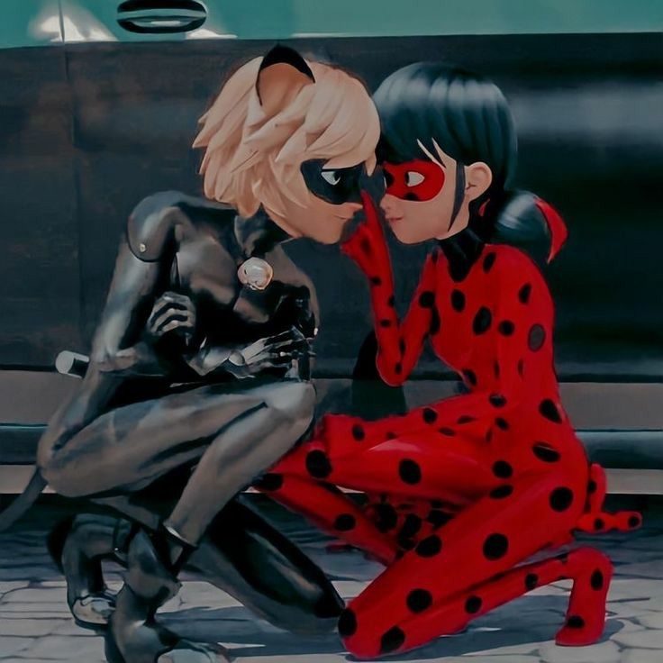 lindas fotos fofas de ladybug e cat noir