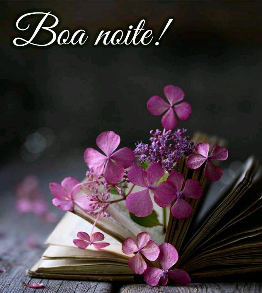 livro com lindas flores dentro e mensagem de boa noite
