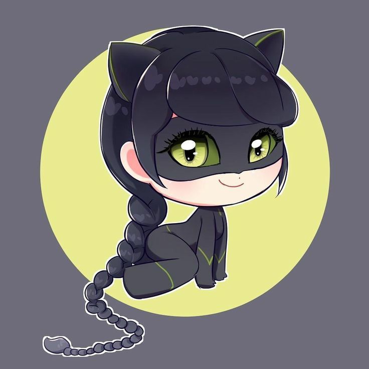 marinette de cat noir