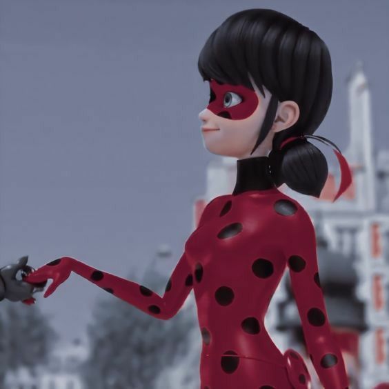metadinha para namorada da ladybug