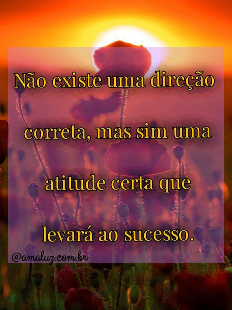 nao existe uma direção correta frase para status