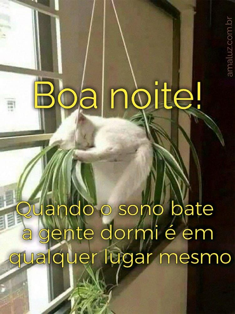 quando o sono bate a gente dormi em qualquer lugar mesmo