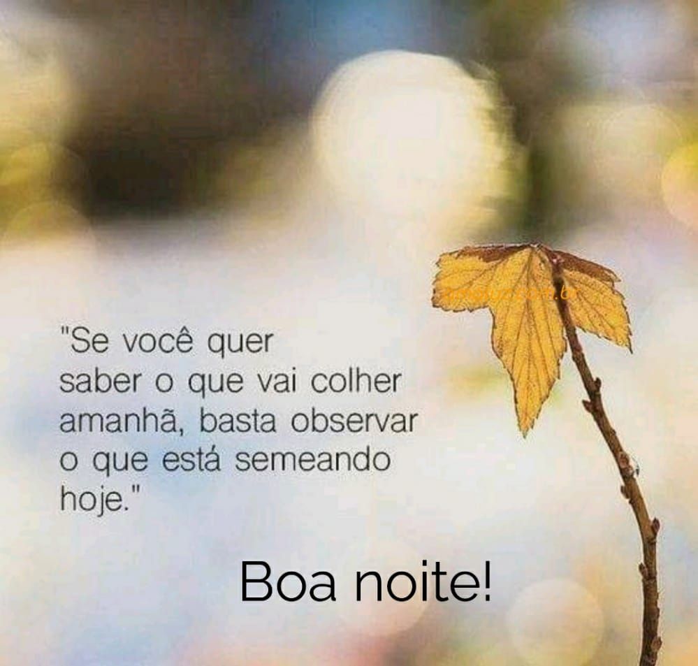 semeia hoje oque colhera amanha boa noite
