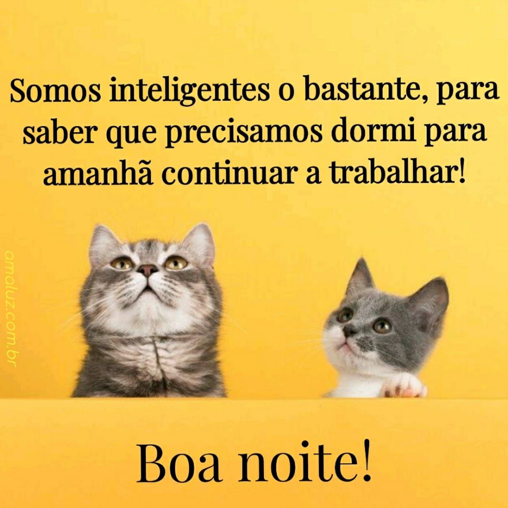 somos inteligente o bastante para sabermos que precisamos dormi