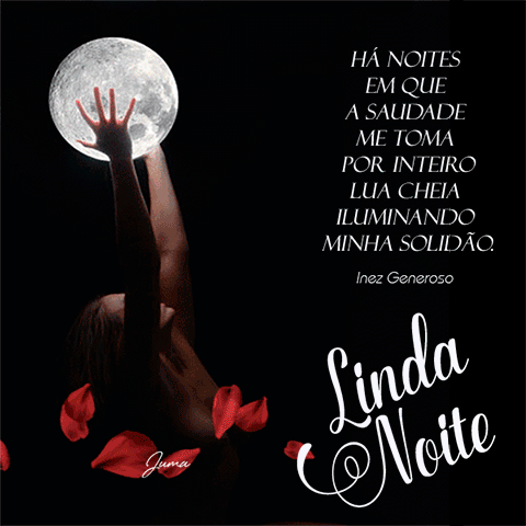 tenha uma linda noite ou tranforme a sua noite na mais bela