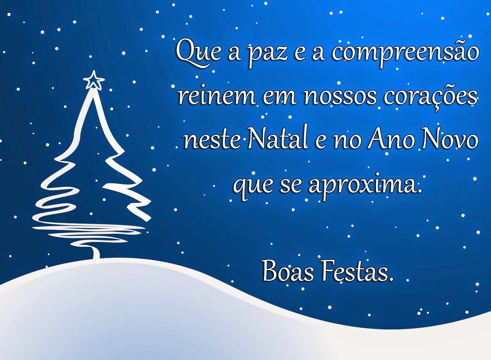que a paz esteja presente neste natal e no ano novo boas festas