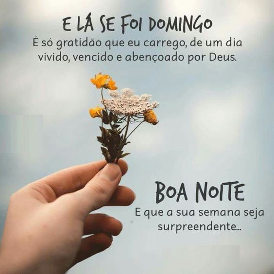 a lá se vai o nosso querido domingo