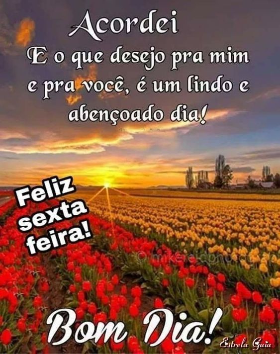 acordei feliz sexta feira bom dia