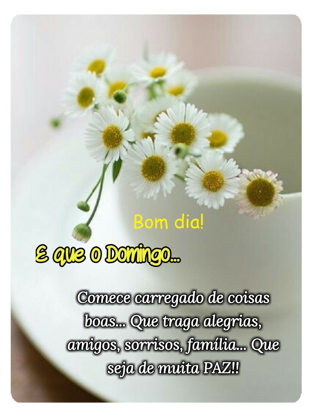 bom dia comece o dia carregado de coisas boas