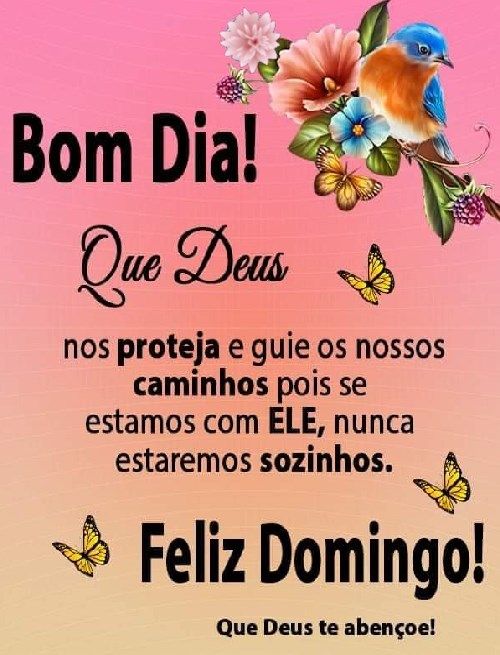 bom dia domindo que Deus te abençoe