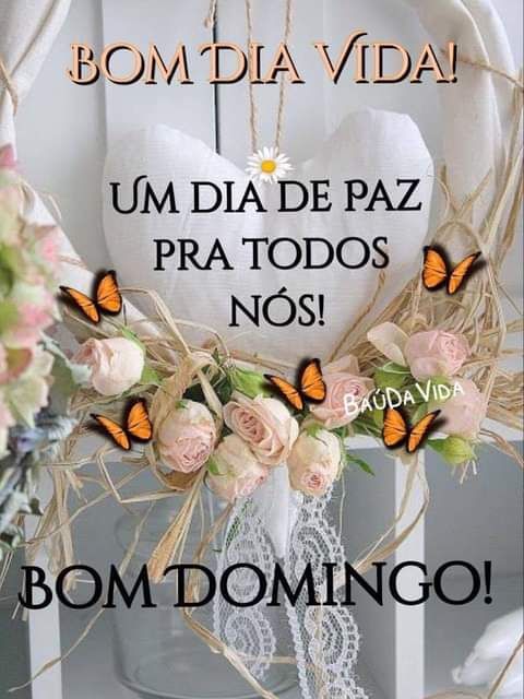 bom dia domingo um dia de paz pra todos