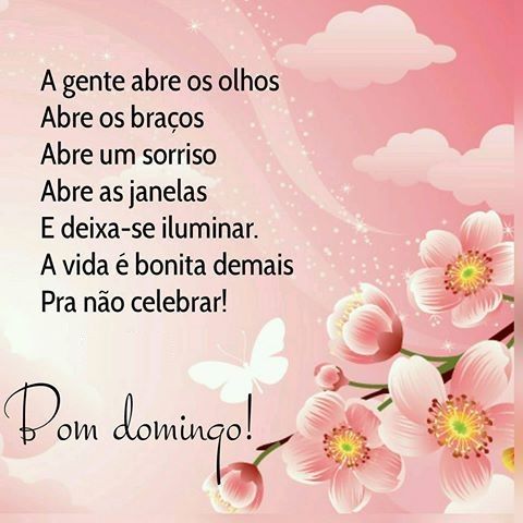 bom dia e bom domingo pra você