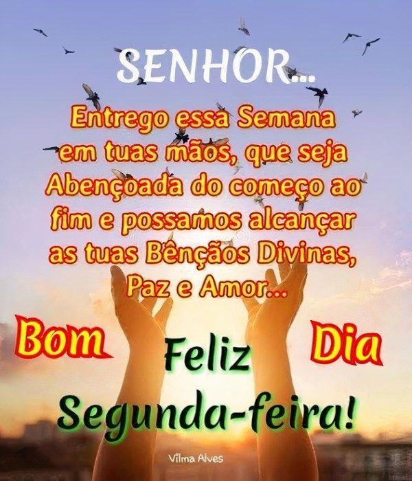 bom dia e feliz segunda feira