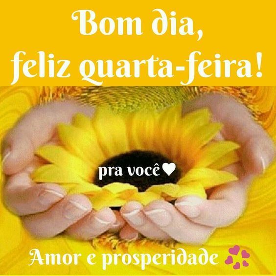 bom dia feliz quarta pra vc
